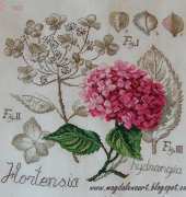 Etudes de Botanique - Hortensia by Veronique Enginger