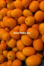 fresh kumquats