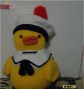 canard