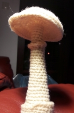 My crochet mushrooms