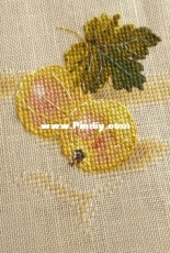 E. Volkova. Gooseberry