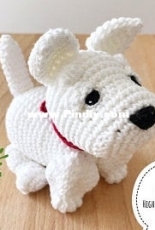 Aidie and Jellybean - Chie Powles - Nessa the West Highland White Terrier Puppy