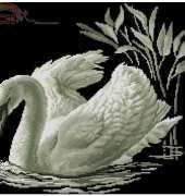 RTO M211 Swan