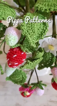 Pippa Patterns Crochet - Connie Rockliff - Strawberry Plant