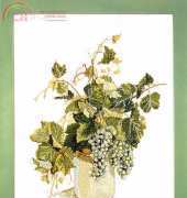 Fujico 606 How Green Grapes