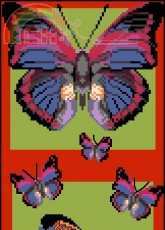 Zolotoe runo BF-001 Bright Butterflies pcs
