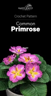 happy patty-common primrose
