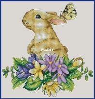 Rabbit by Anastasia Soloshenko XSD