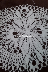 New doily  just Foth