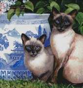 Thai cat