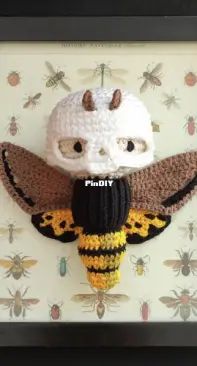 Lalylala Moth Skull Boy