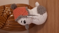 Elisa Crochet snowbird