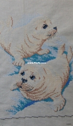2 Seals from pako