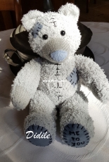 Teddy bear Me to You
