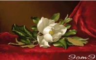 EstE 203 Magnolia on Red Velvet Cloth XSD