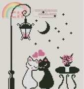 Black and White Cat
