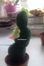 Cactus by Krisztina