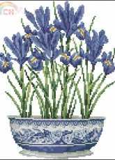 DMC K4151 Classics - Iris