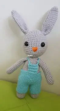 Little gray bunny