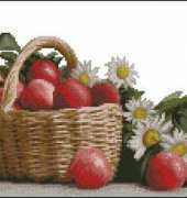 Junona 0605 - Apples and Daisies