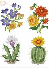 Vervaco 41.367, 41.370, 41.372, 41.374 PCS