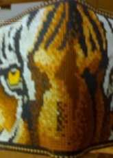 Tiger wallet - Plastic canvas