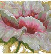 DMC BK211 Anemone