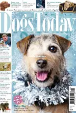 Dogs Today UK - December 2018