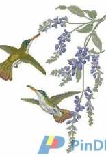 Green-fronted Azure-crown - La Grand Livre des Oiseaux au point de croix - John Gould