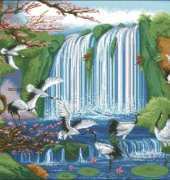 PINN 40-Z Land of Paradise