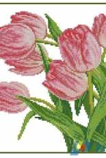 RTO M121 Tulips XSD