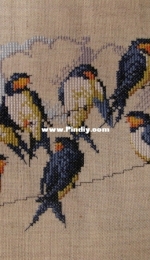 7 little swallows.