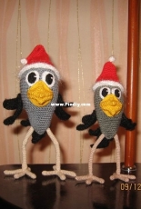 New Year's chicks