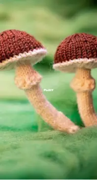 Cute little mushroom by Norman Schwarze -Nimbles Needle - Free