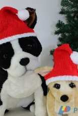 Dog Christmas Santa Hat by Christine Grant - Free