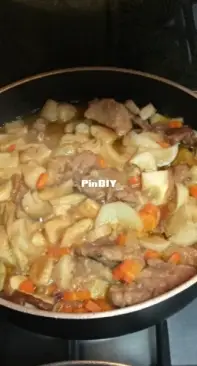 stew with porcini mushrooms