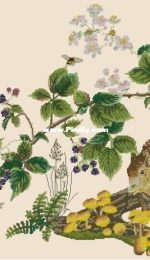 Thea Gouverneur - TG 1071 - Squirrel PCS