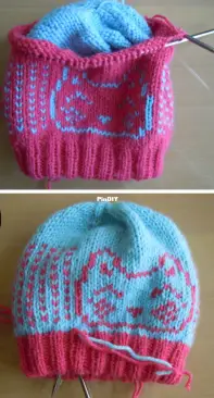 Knitty Kitty Beanie by Crooked Crafts