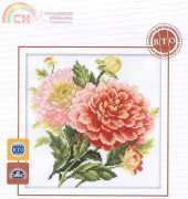 RTO M075 Dahlias