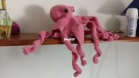 Octopus WIP