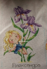 Iris from the company Soda