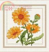 Ellen Maurer Stroh EMS - Flower of the Month - October - Calendula PCS