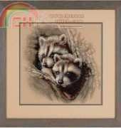 Dimensions 35253 Two Raccoon Cubs XSD
