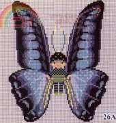 PINN-26-A Baby Butterfly