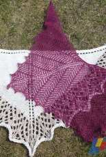 Venation Shawl by Claire Slade/ Verily Knits-Free
