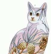 HAED HAXP1869 Cat 4 Myrea Pettit