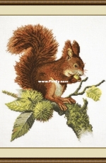 Oven OBEH Aries (Овен) 658 - Squirrel PCS