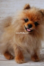 TatyanaKo - Tatyana / Tatiana Korotkikh - SPITZ A Real Dog Realistic Copy