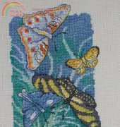 Paradise Butterflies