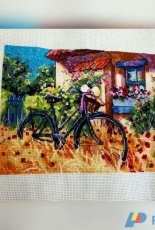 Bicycle Afternoon